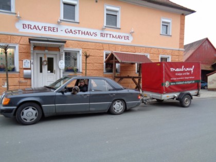 Foto: Maulwurf